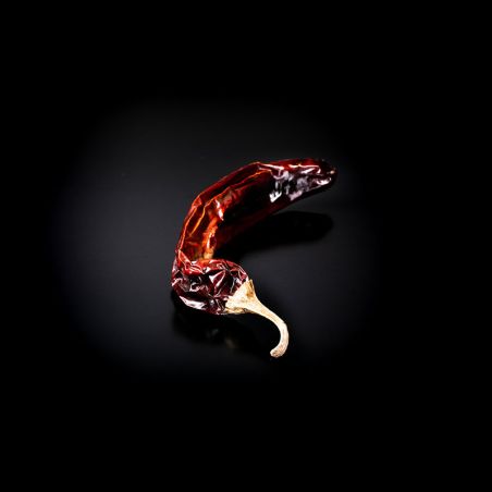 Dried Guajillo chili pepper